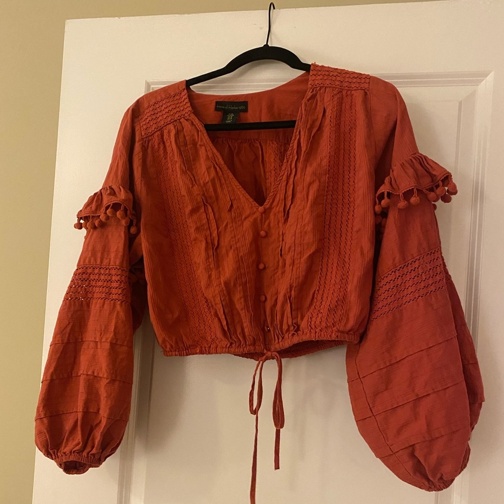 Long sleeve crop top